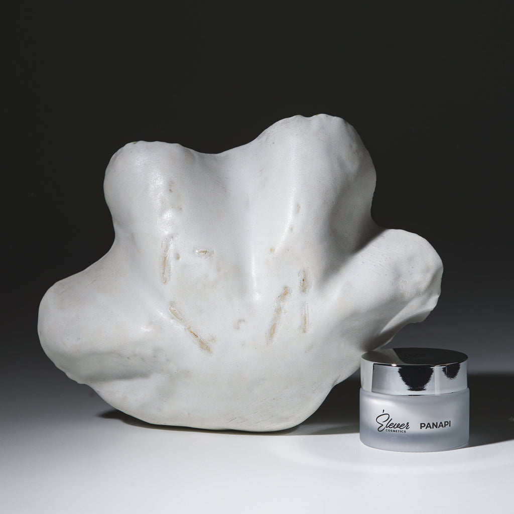 PANAPI